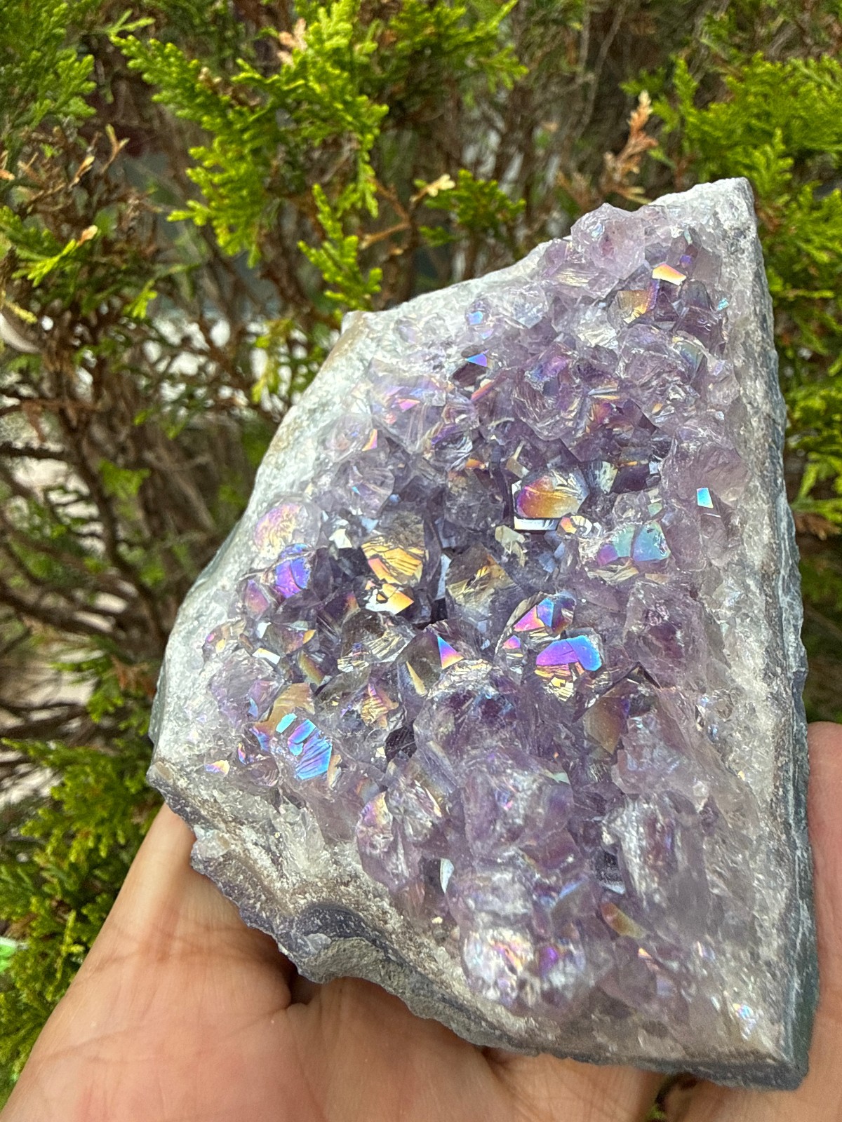 Amethyst Titanium Aura Crystal cluster rough raw Healing confidence Flashes
