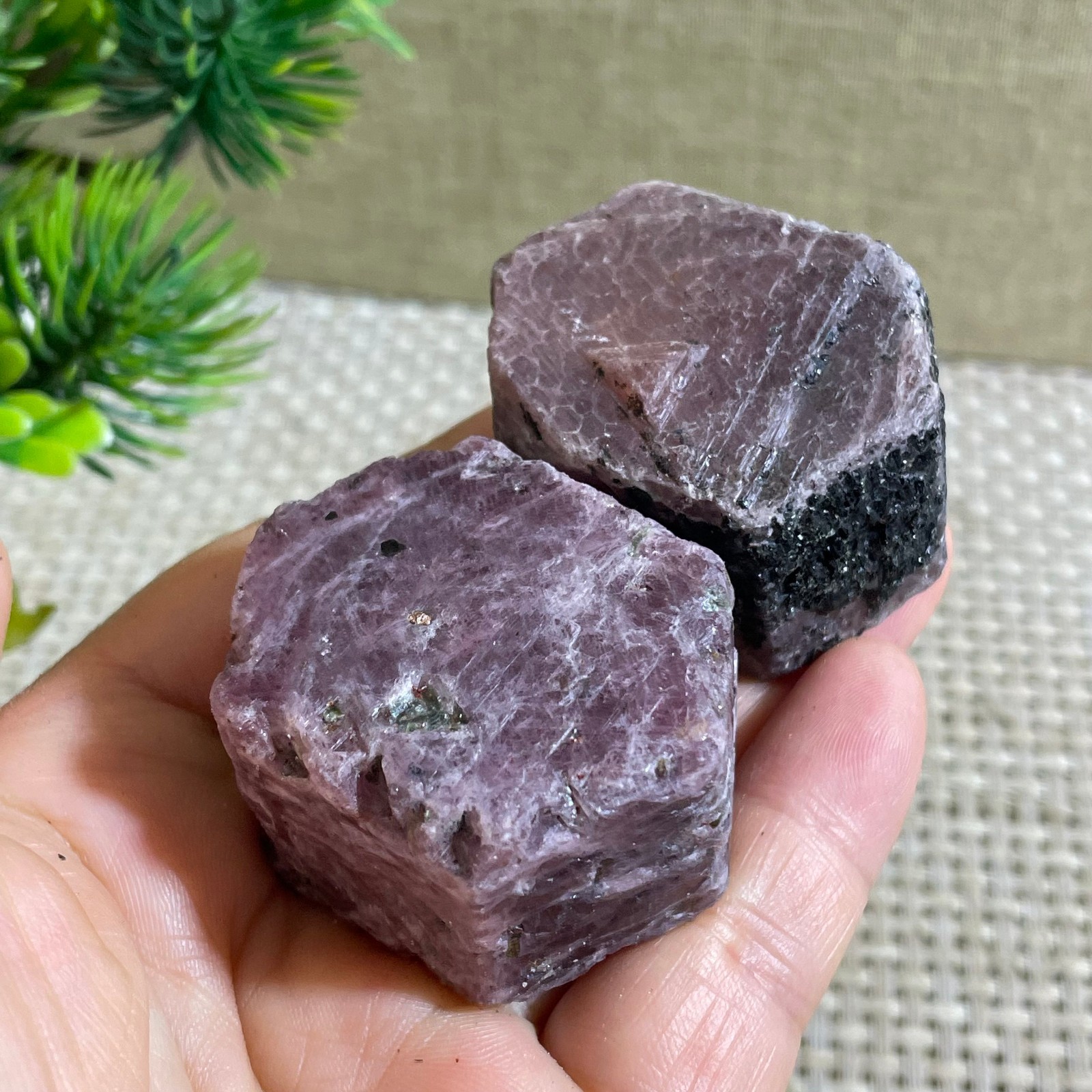 221g Natural Red Corundum Ruby Crystal Rough Mineral Specimen reiki Healing 2pcs