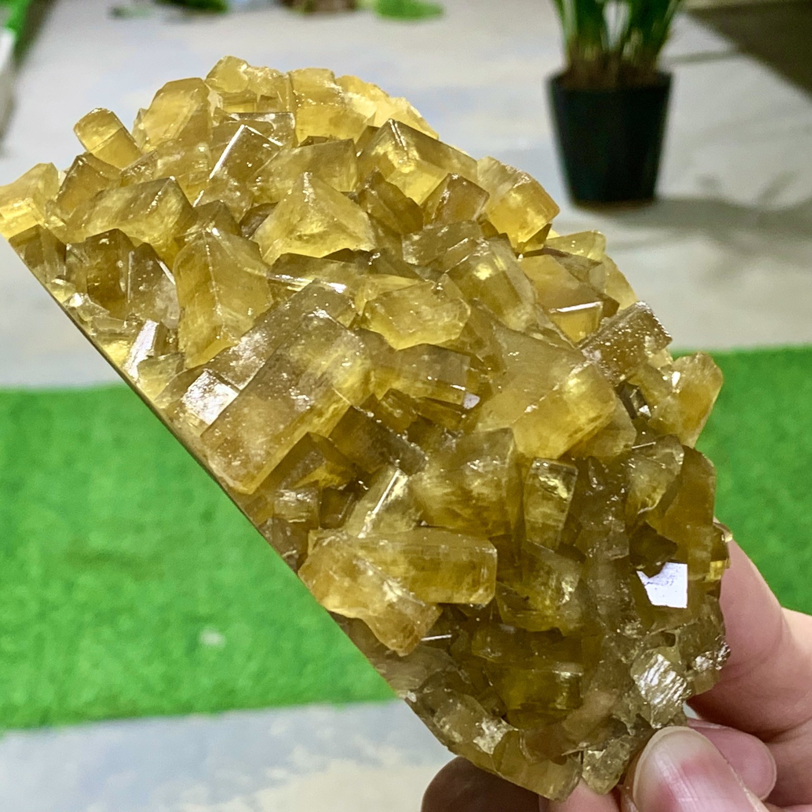 1.87LB Shiny Golden Cuboid Barite Crystal Based on the Purple Spherical Fluorite
