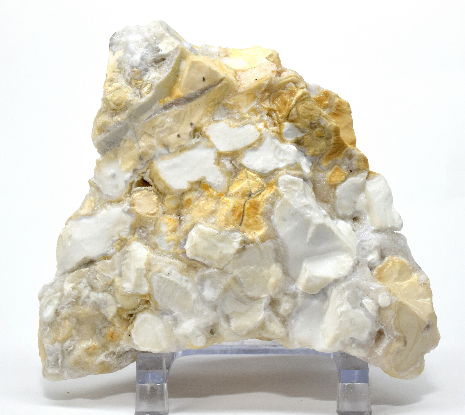 290g White King Cobra Jasper Rough Chalcedony Gemstone Crystal Mineral – India