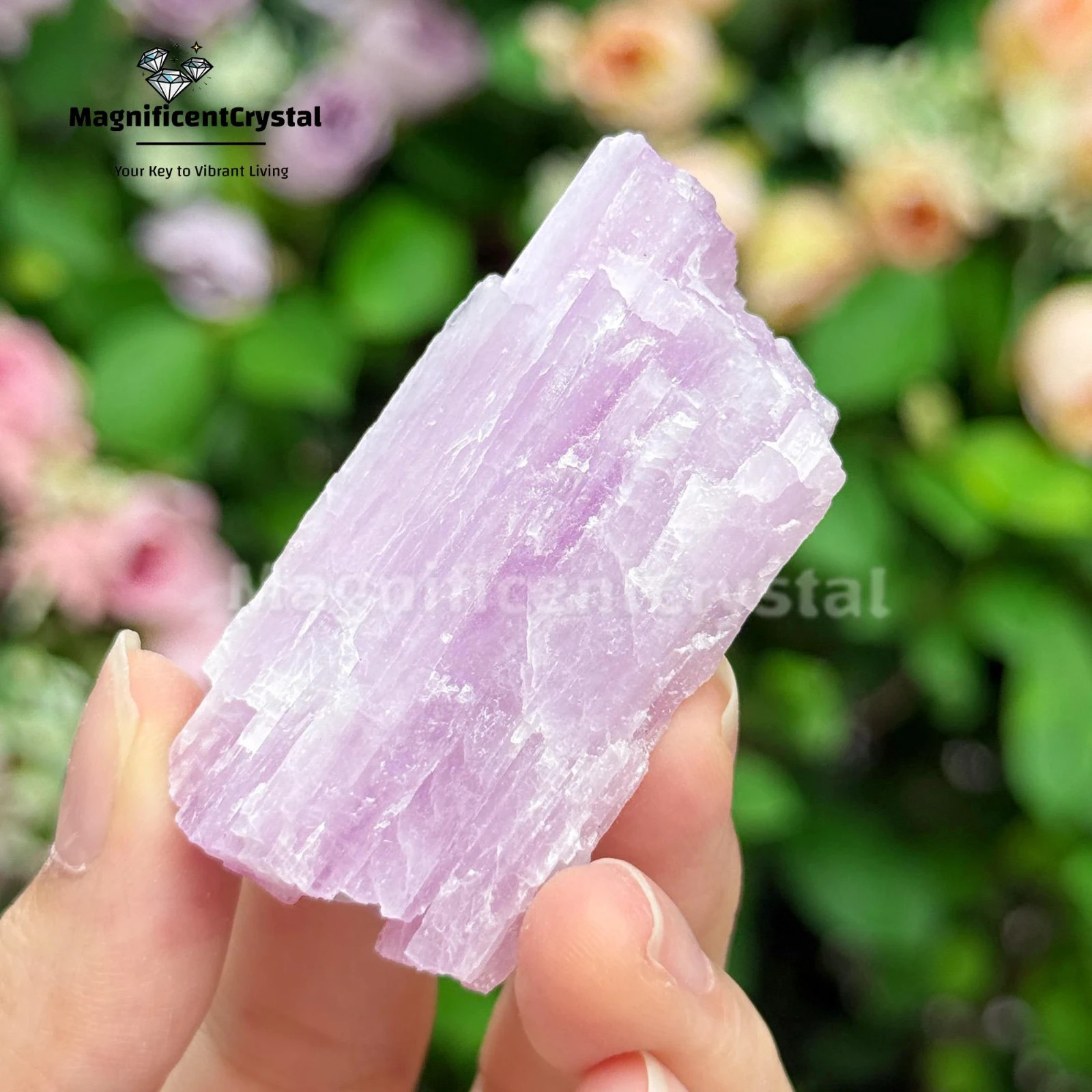 3pcs Genuine Kunzite Crystal Stone Purple Natural Mineral Specimens Healing Deco