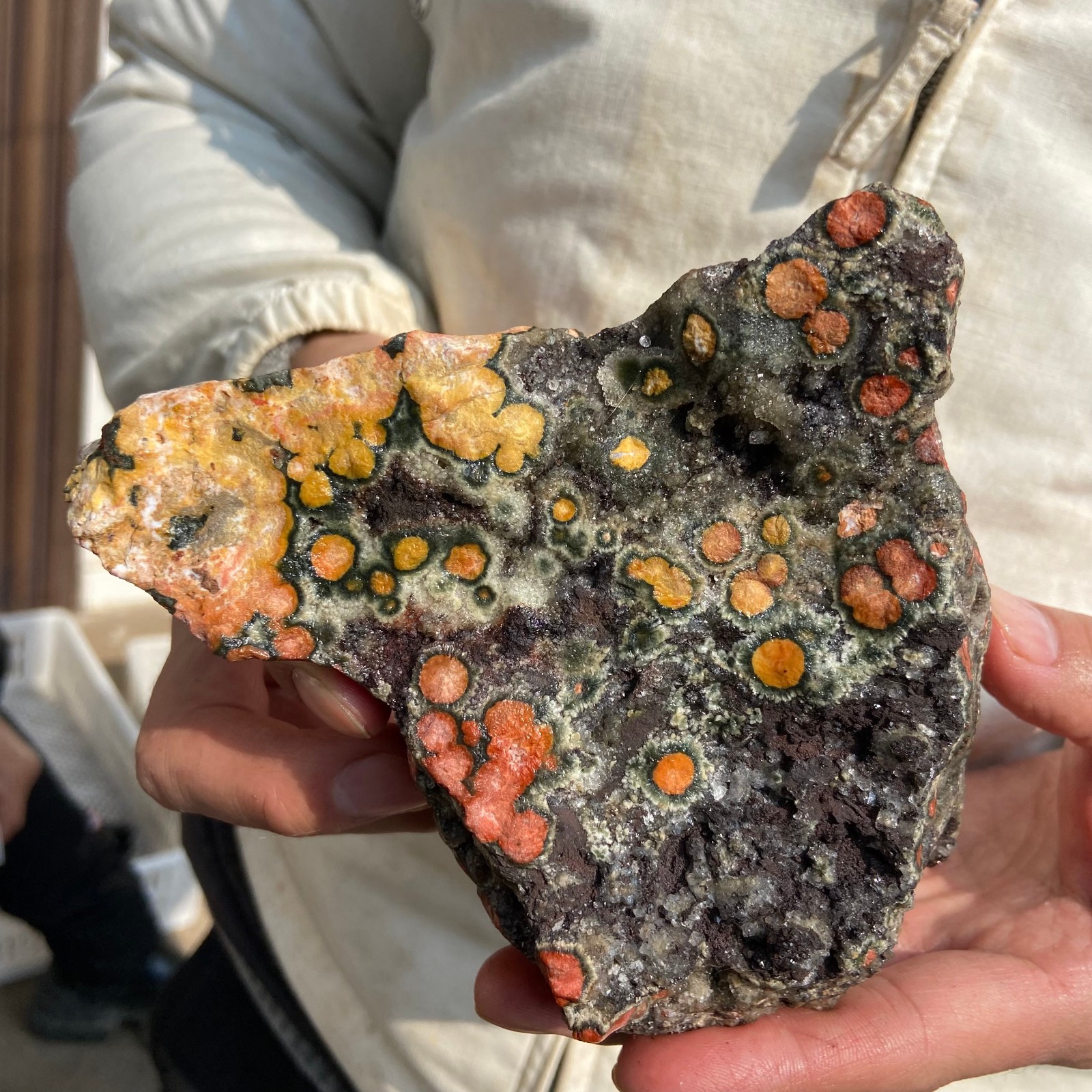 2.2lb Natural colourful ocean jasper raw stone crystal rough mineral specimen