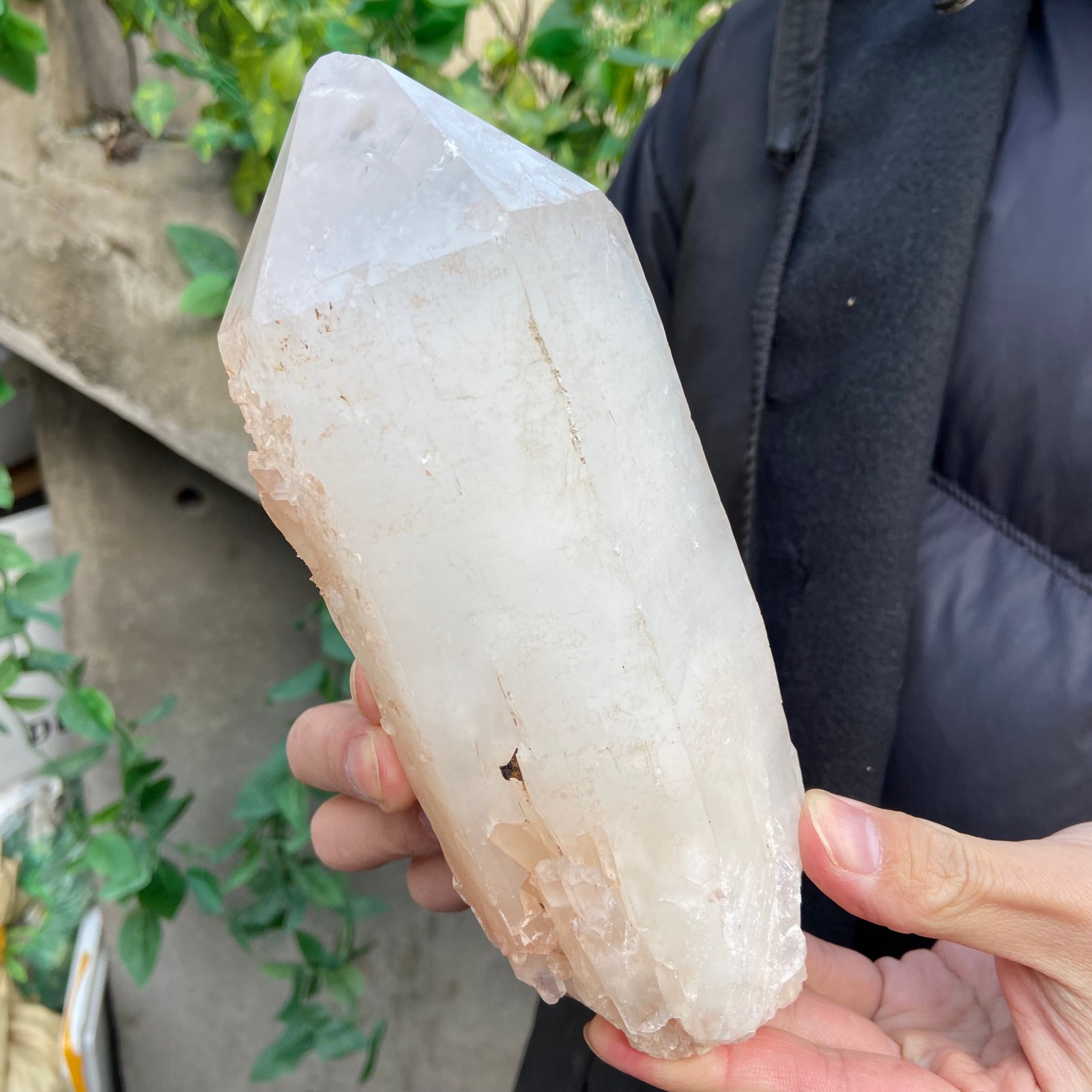 2.9lb Natural clear white crystal quartz point rough mineral specimen