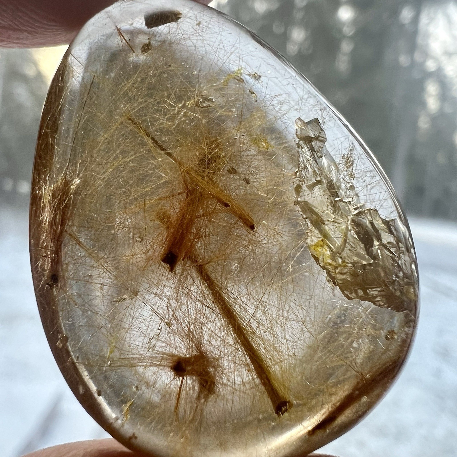 Golden Rutile Quartz With Moving Rutile Inclusion