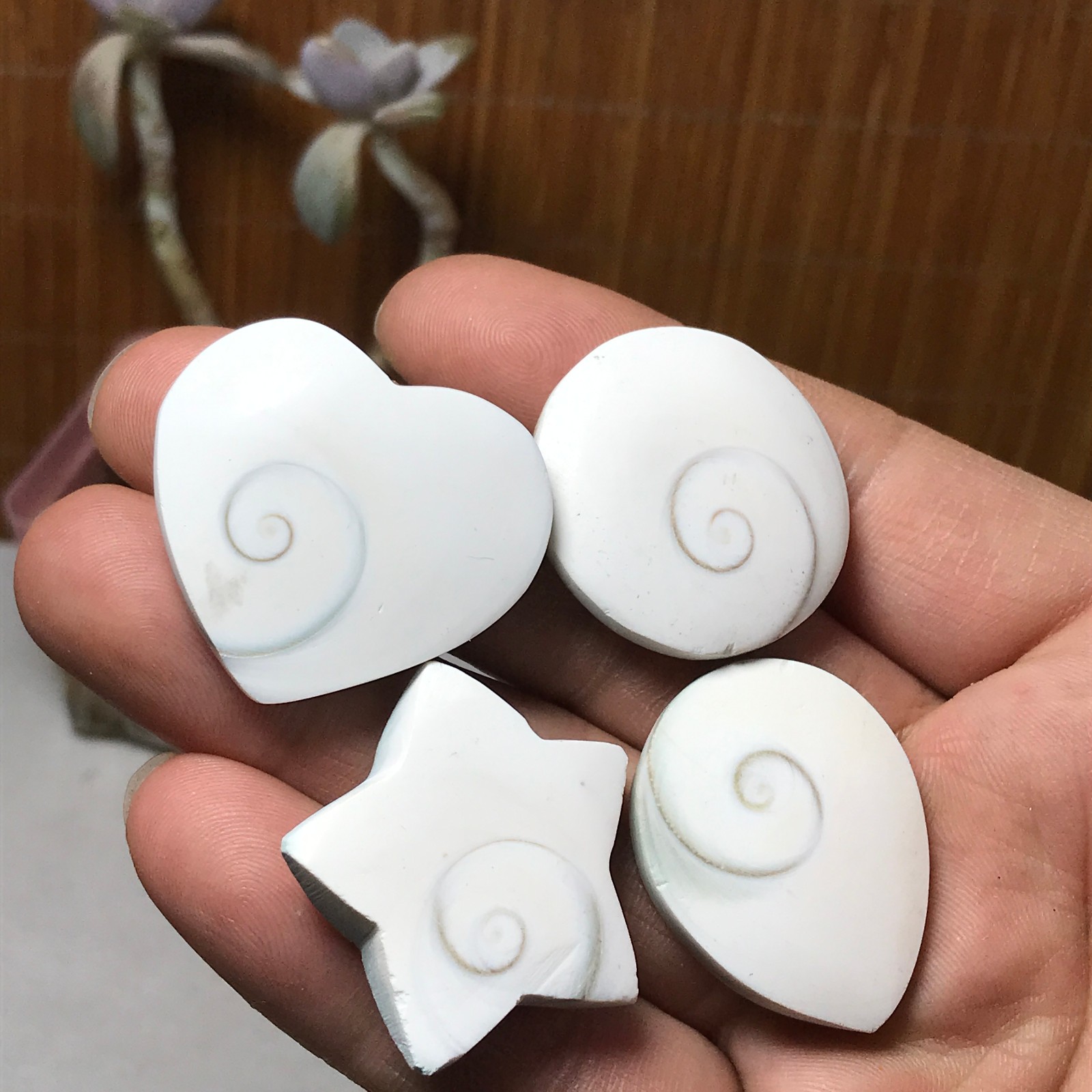 4Pcs Natural sun shell star Heart Reiki Shiva Eye ocean quartz carve A3340
