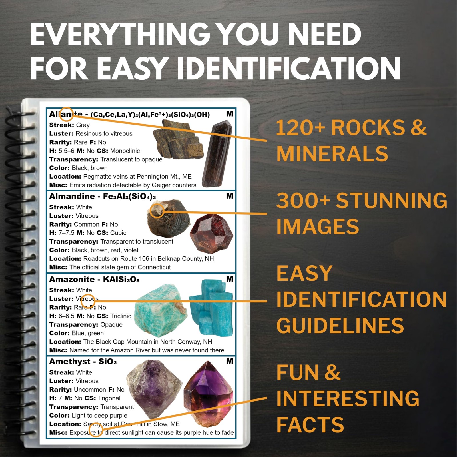 New England Rocks And Minerals Field Guide | Find Identify Crystals,…
