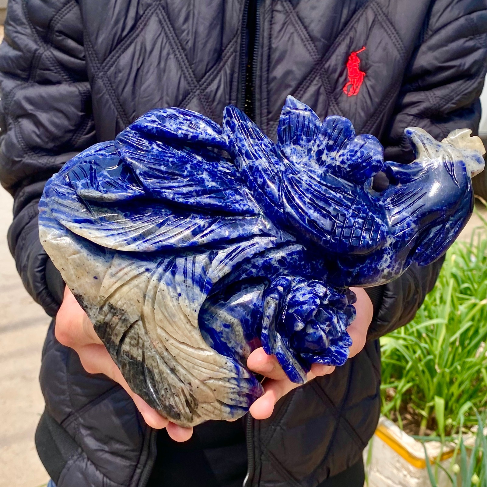 6.1LB Natural Blue Texture Crystal Carving Phoenix Rose Spiritual Energy