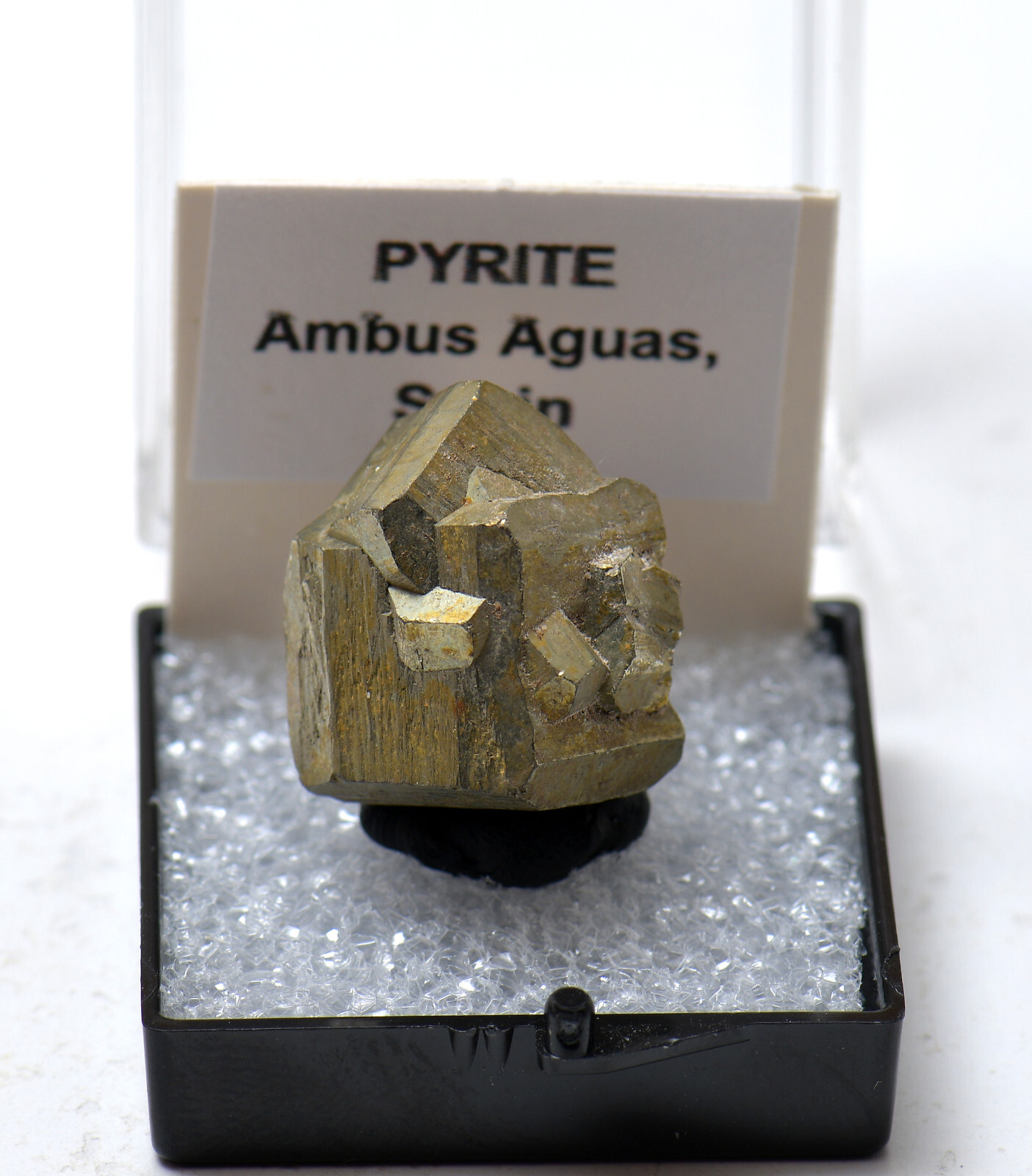 Excellent Pyrite crystal specimen. Ambus Aguas, Spain. 2 cm.
