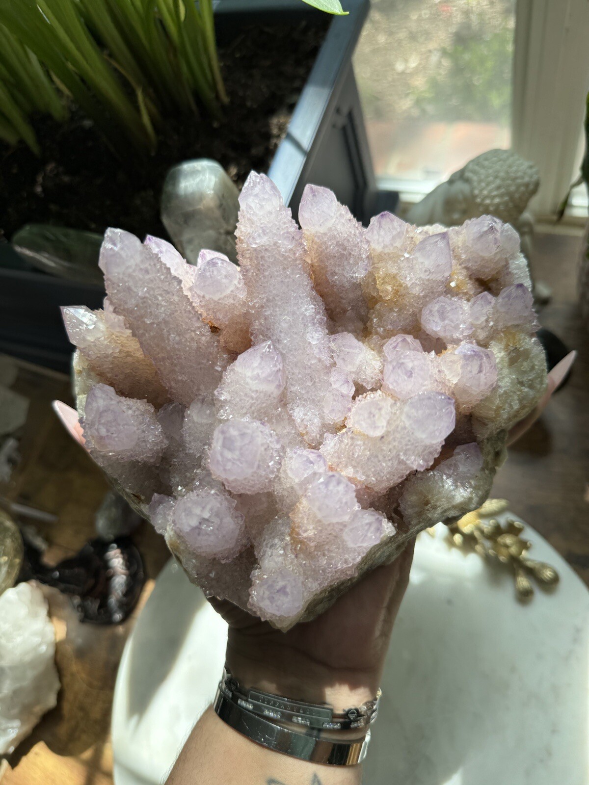 High Grade XXL (5.7lbs) Long Finger Deep Lavender Spirit Cactus Quartz cluster