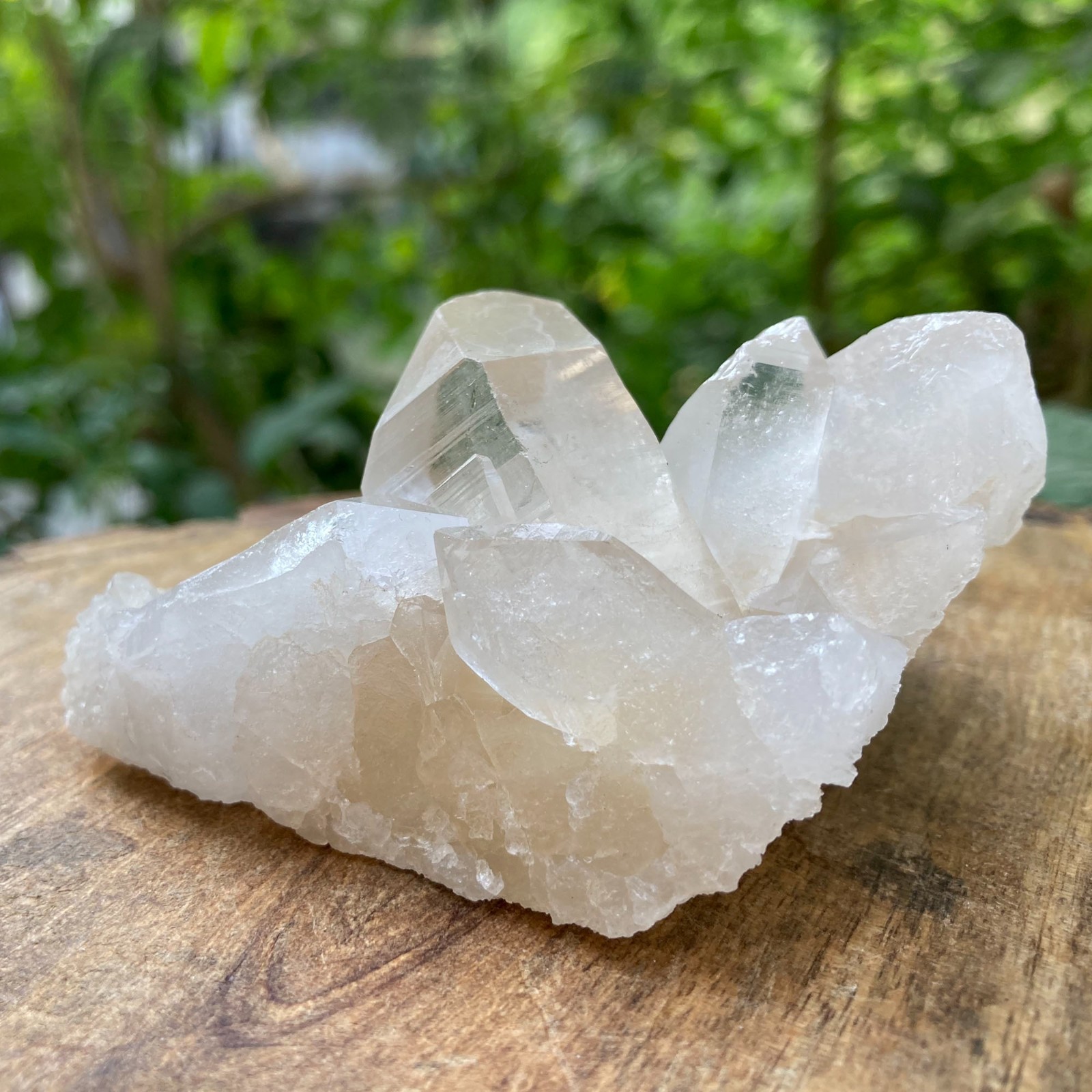 Natural Himalayan White Quartz Rough Crystal Stone HealingMinerals 0.26 lbs