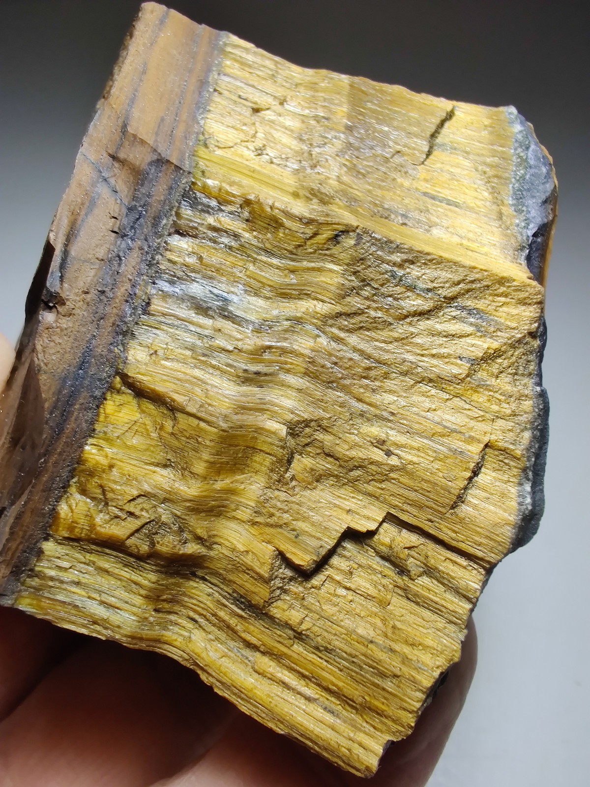 Tigers Eye specimen, nice chatoyancy. Northern Cape, South Africa. 289 grams.