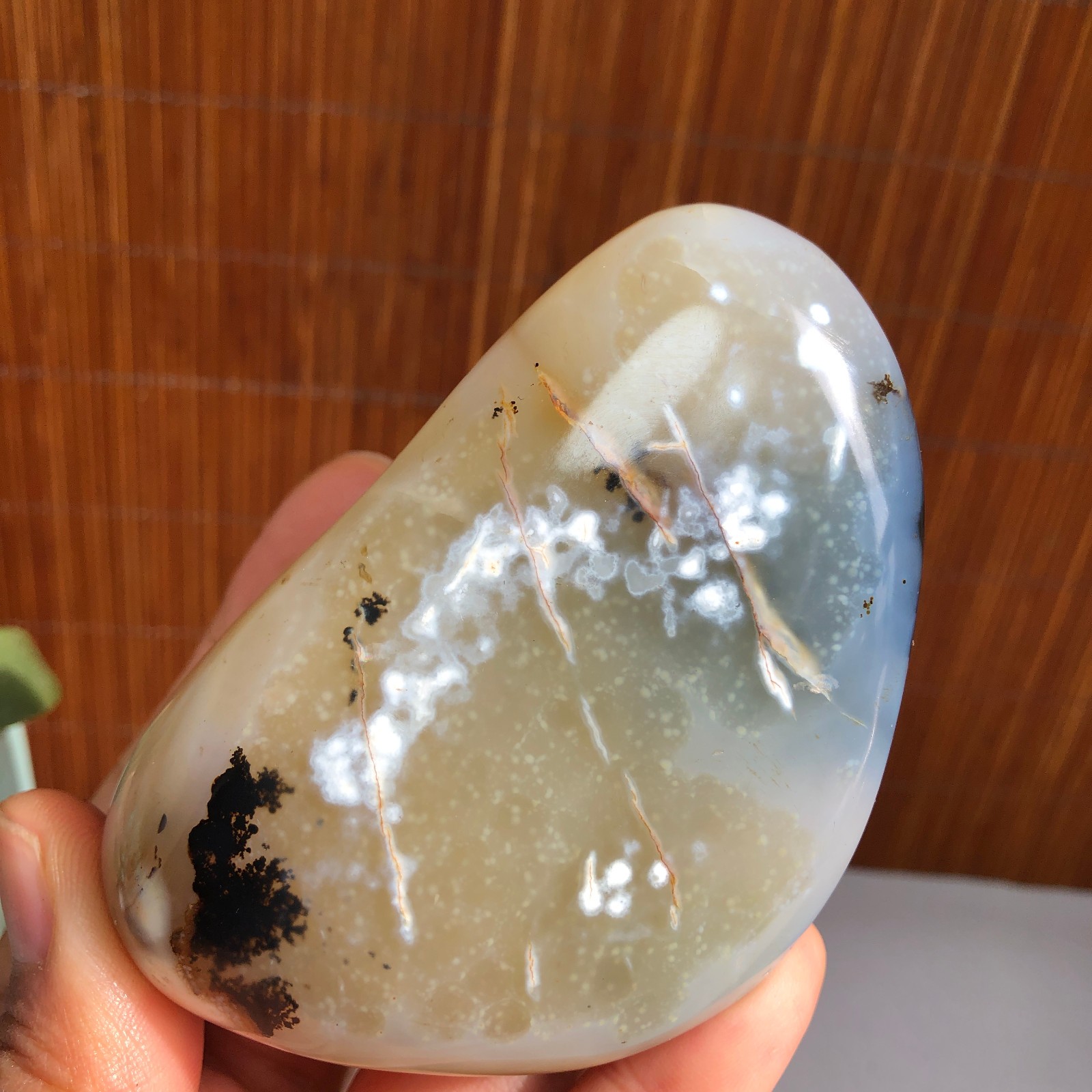 80mm Natural aquatic plants agate pretty Crystal specimens 235g A1485