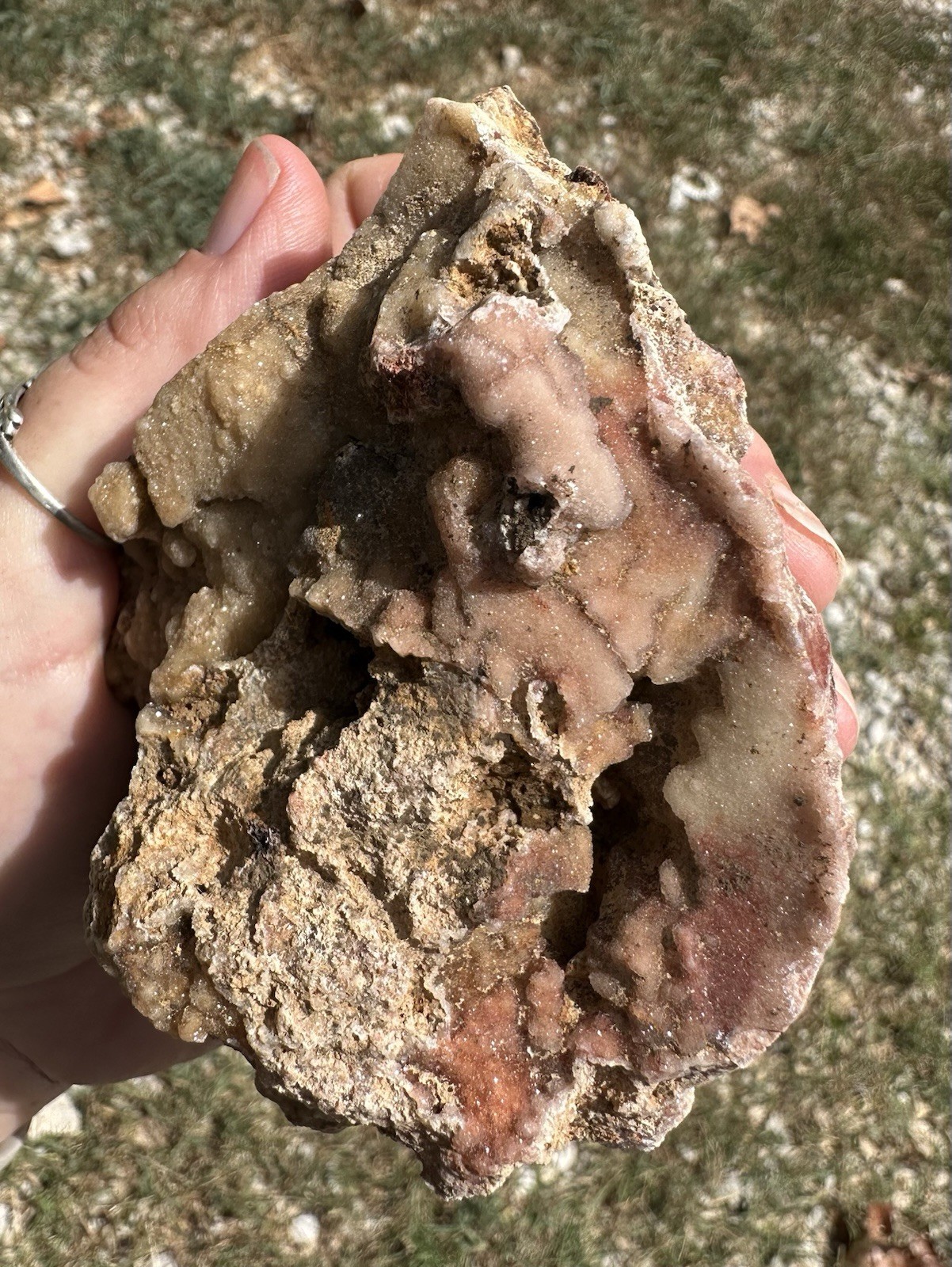 Ozark Druzy Quartz Natural Fossilized Coral Stone Display Terrarium