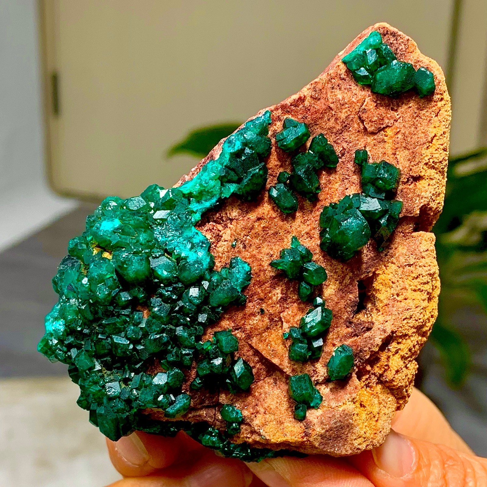 205G Natural Deep Green Grainy dioptase gemstone cluster mineral specimen
