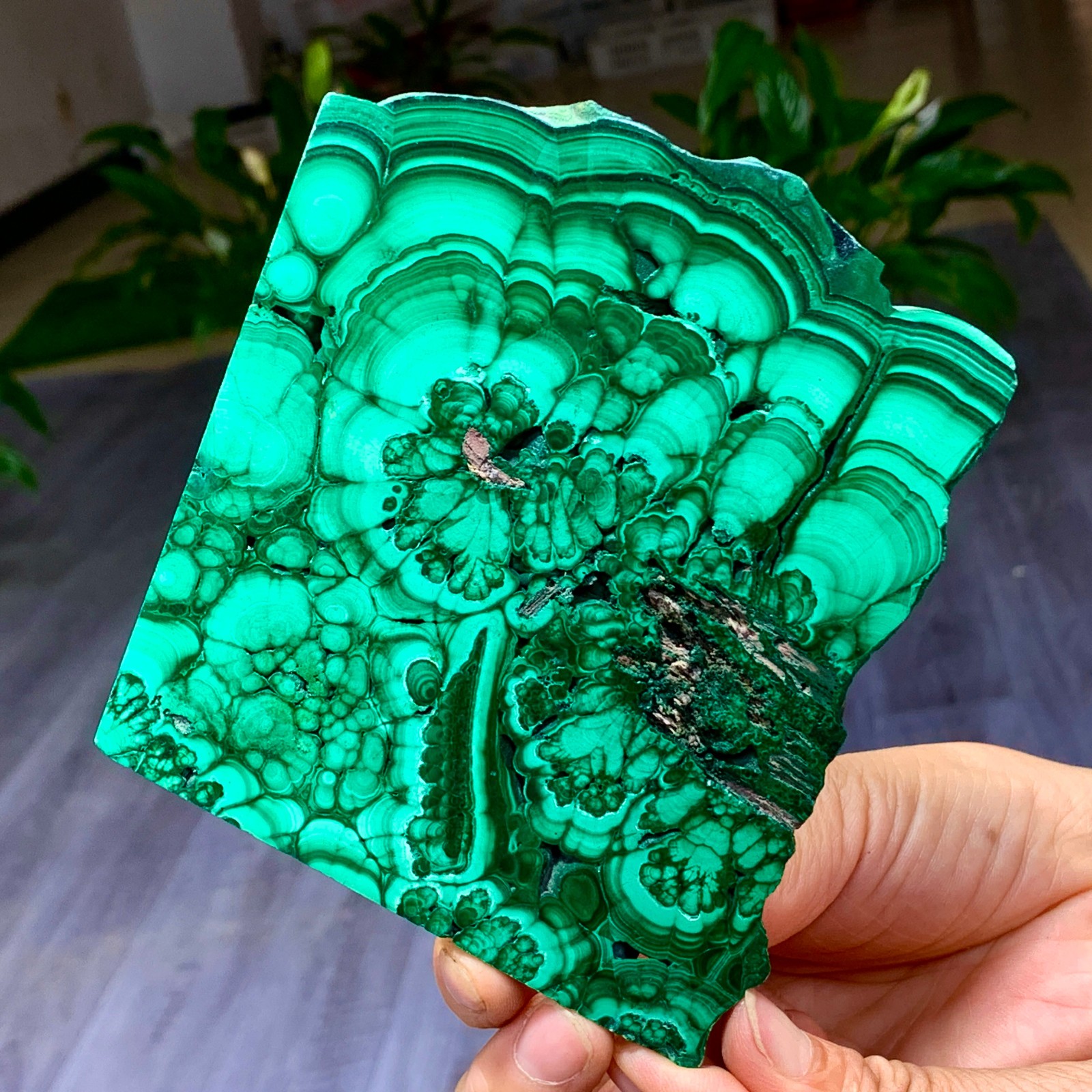 290G Natural glossy Malachite transparent cluster rough mineral sample
