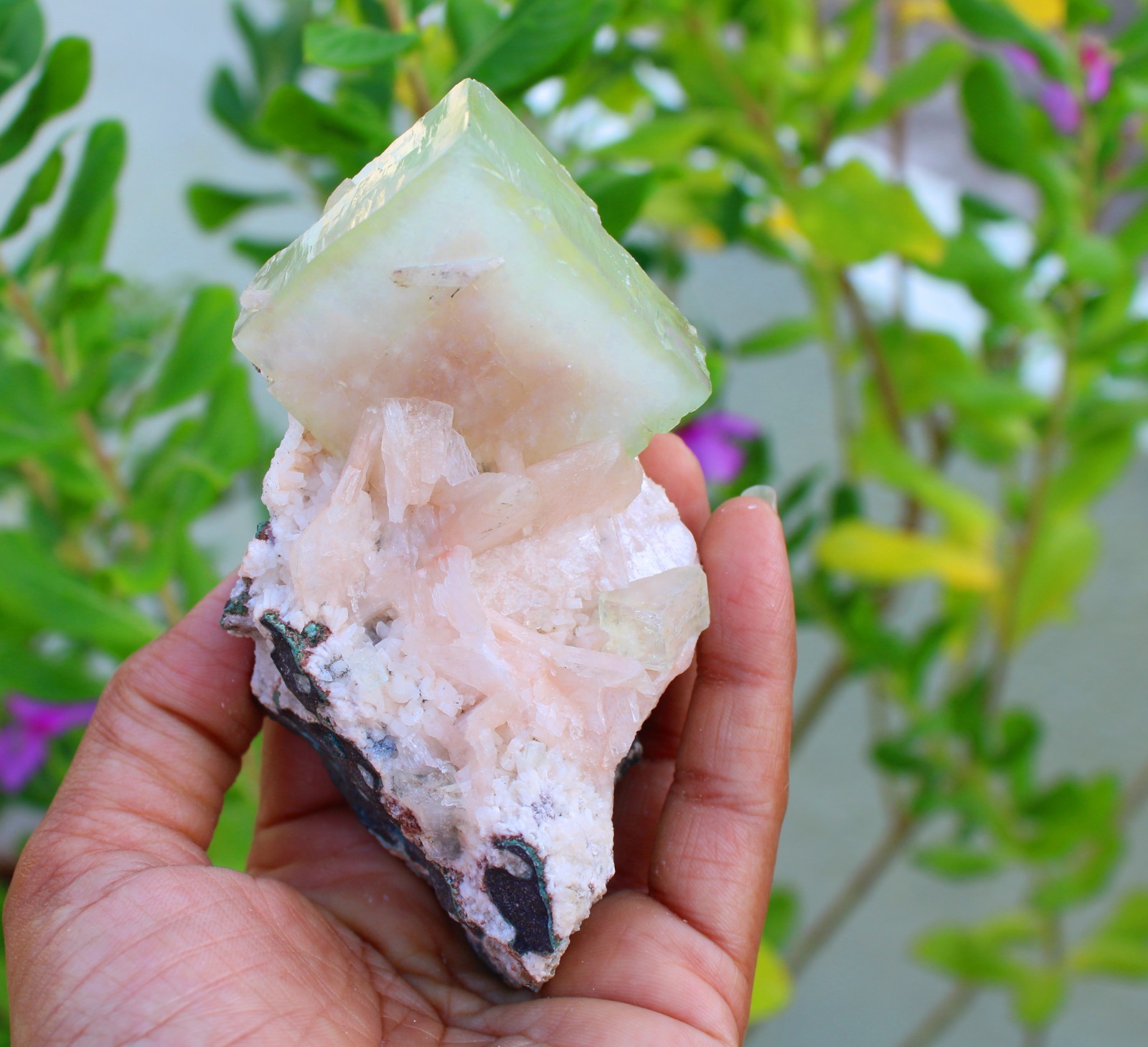 Green Apophyllite Crystals w/ Stilbite Minerals Specimen #A49