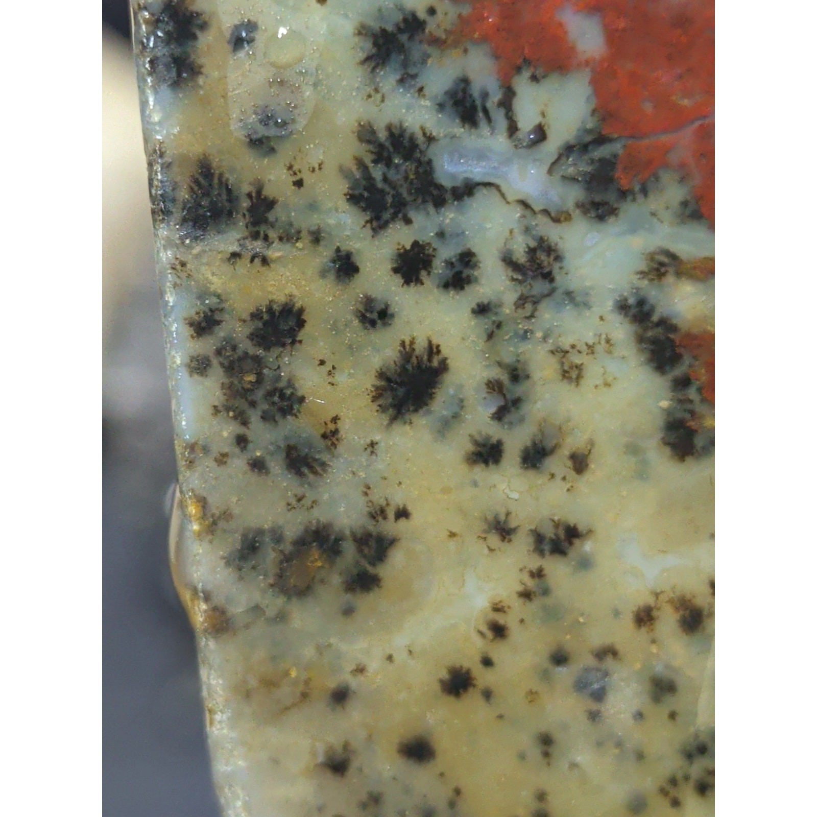 Jasper Dendric Multicolored Polished Slab Specimen (165 Grams)