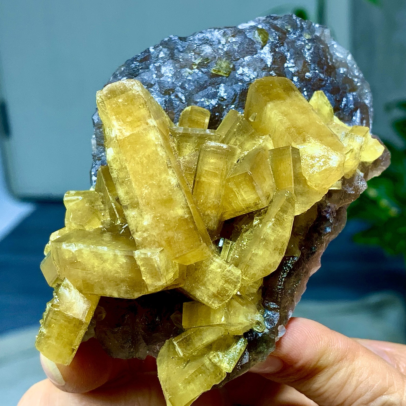 338G Shiny Golden Cuboid Barite Crystal Based on the Purple Spherical Fluorite