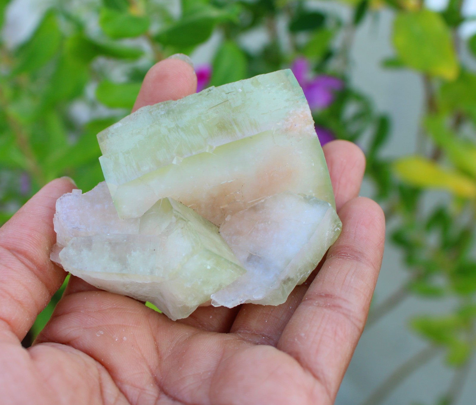 Green Apophyllite Crystals Minerals Specimen #A49