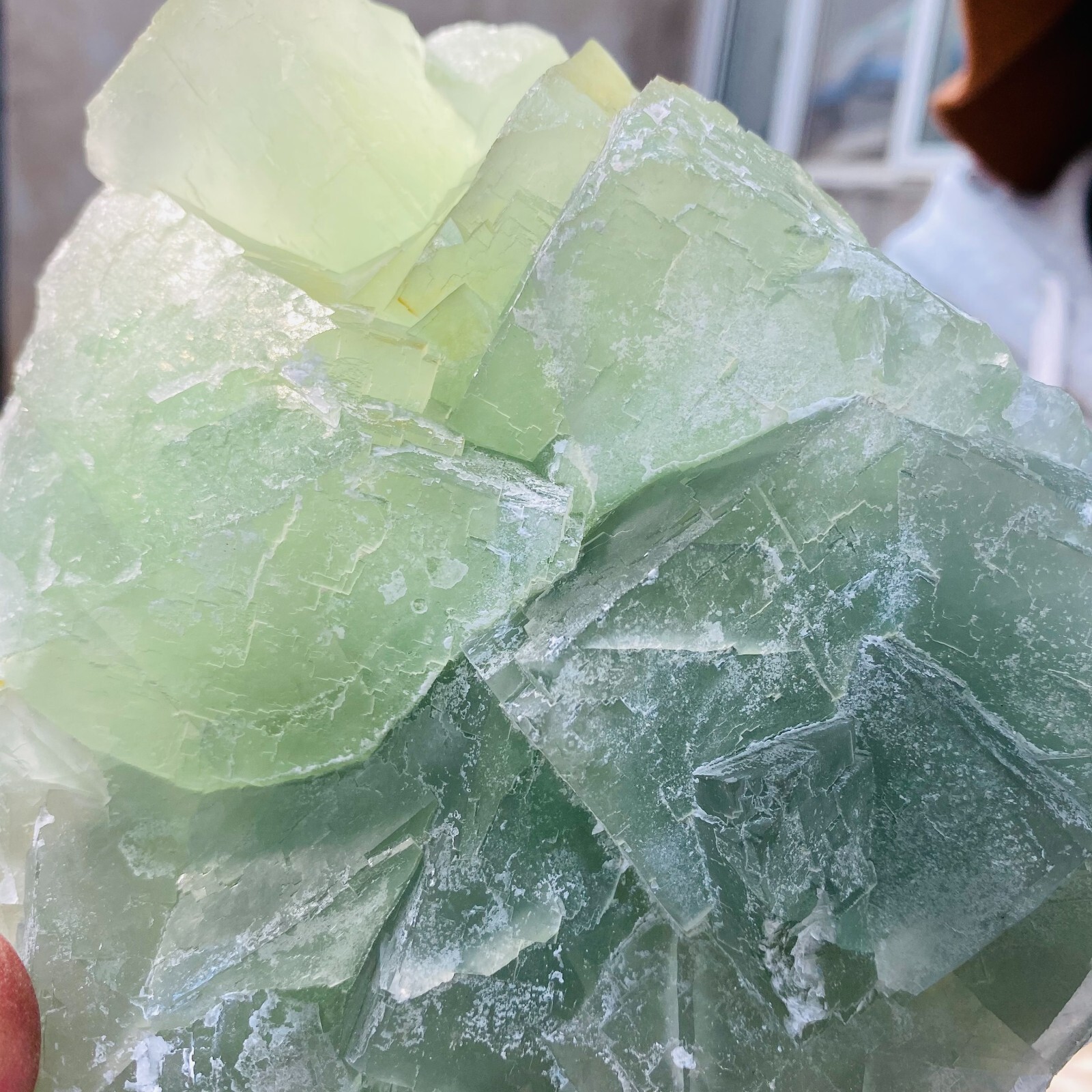 7.0LB Large Natural Light Green Fluorite Cubic Crystal Rough Healing Specimen