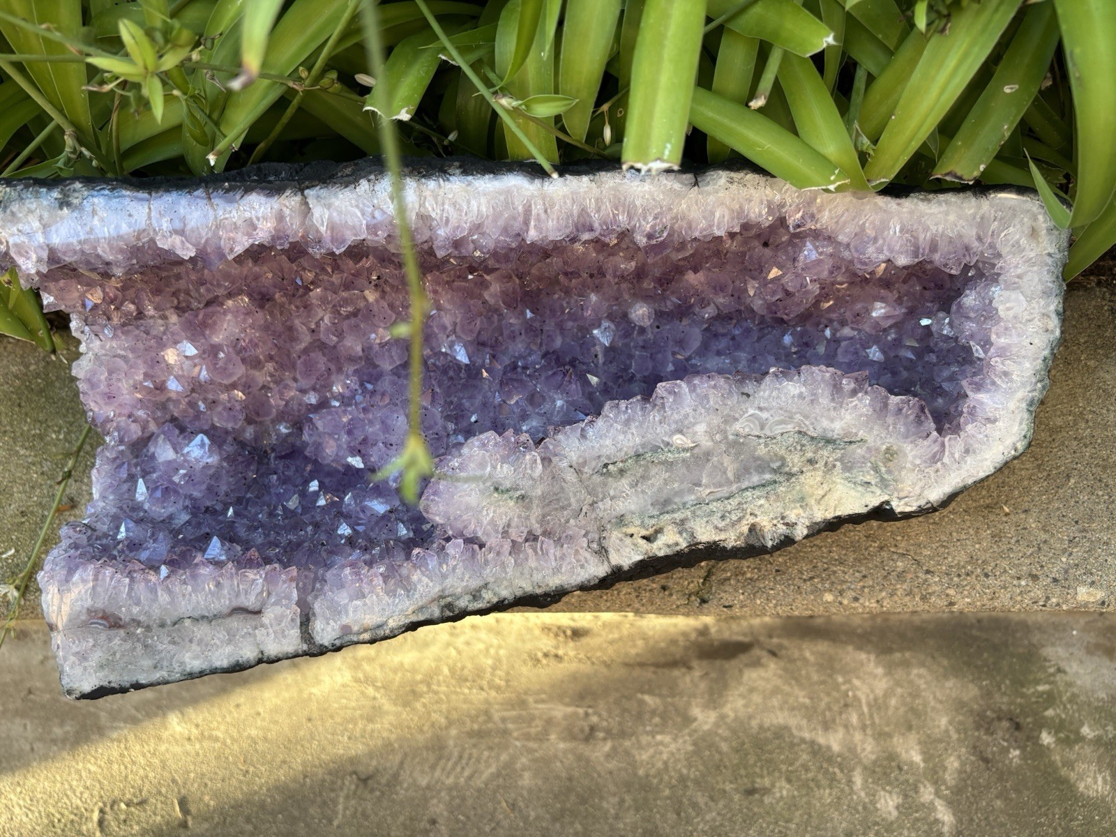 Large Natural Amethyst Crystal Geode Cluster Uruguay/Brazil Origin
