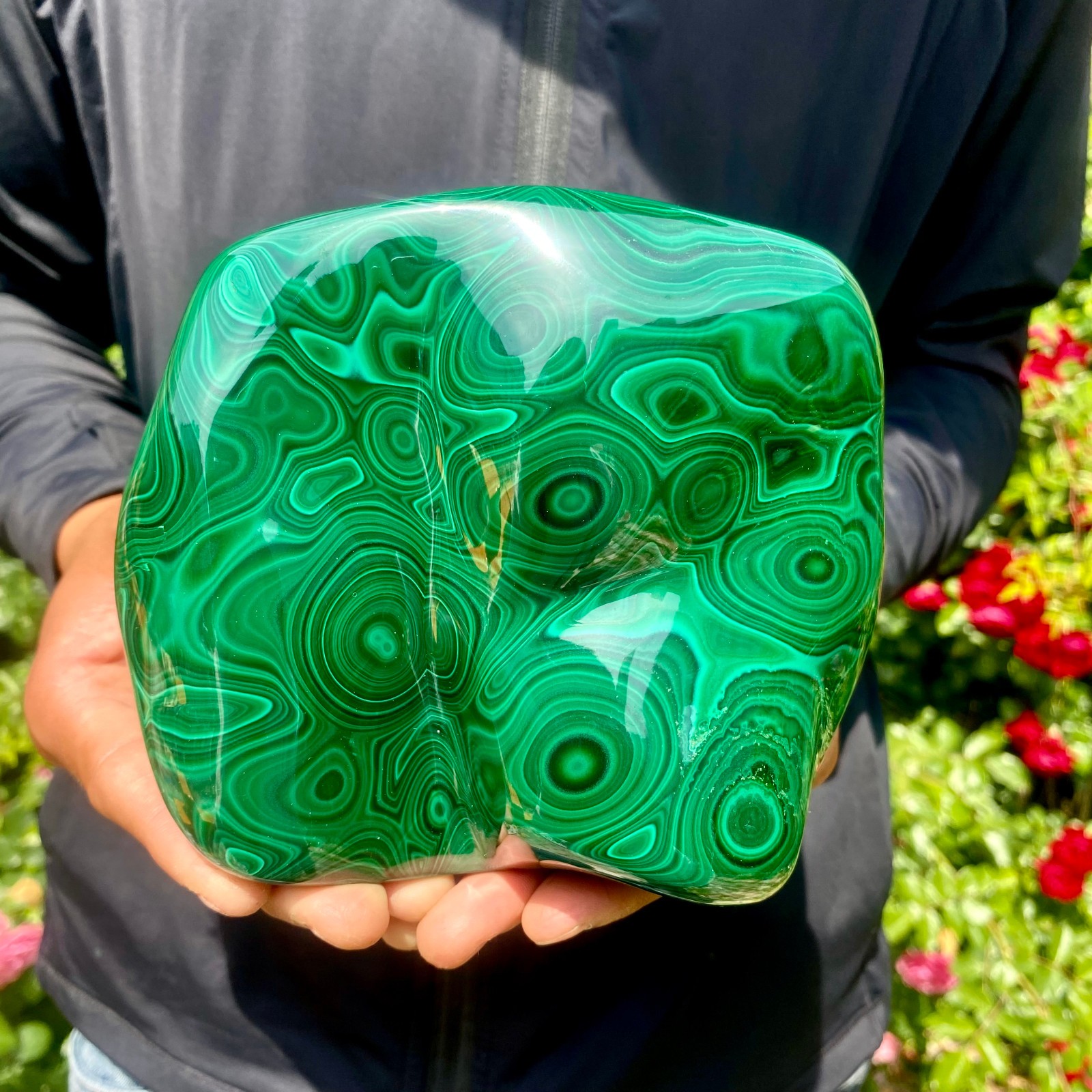 4.1LB Natural glossy Malachite egg transparent cluster rough mineral sample