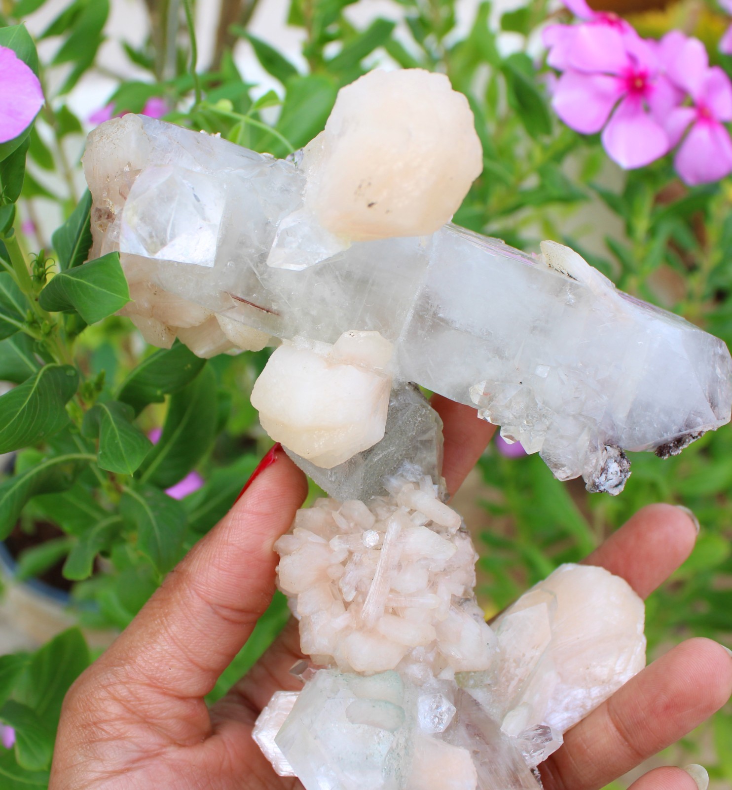 Apophyllite Crystals w/ Stilbite Formation Minerals Specimen ( 21×10 ) REPAIR