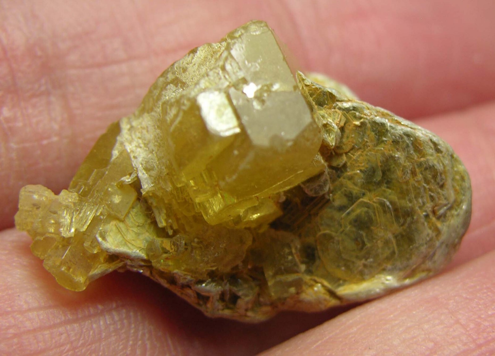 26.05ct Pakistan Terminated Heliodor Crystal in Mica Cluster Specimen 5.20g 28mm
