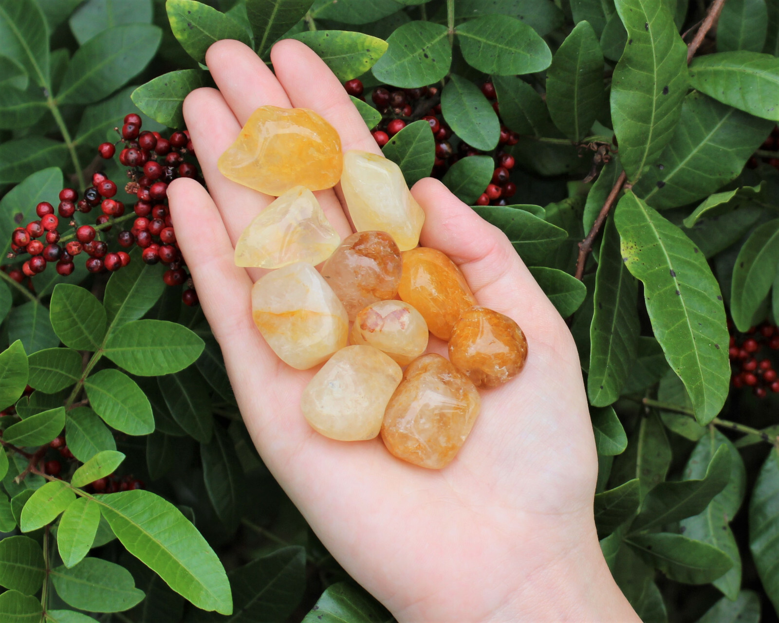 1/4 lb Bulk Lot Golden Healer Quartz Tumbled Stones (Yellow Quartz Crystals)