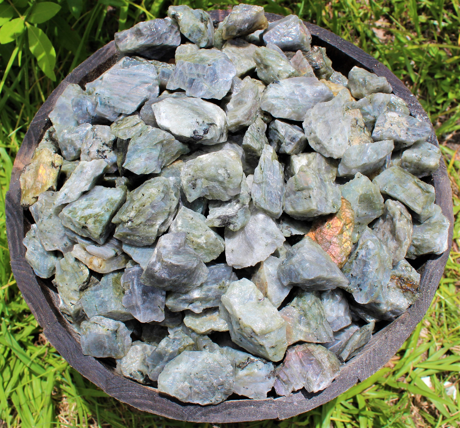 500 Carat Rough Labradorite Crystals (Wholesale Bulk Lot, Natural Stones) 100 gm