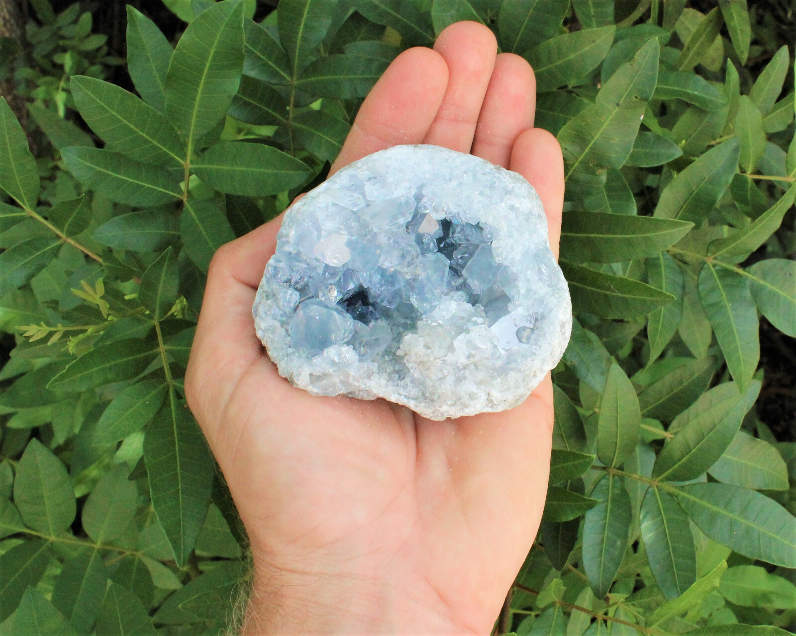 Celestite Crystal Cluster – High Quality Celestite Geodes (Blue Celestite Druze)