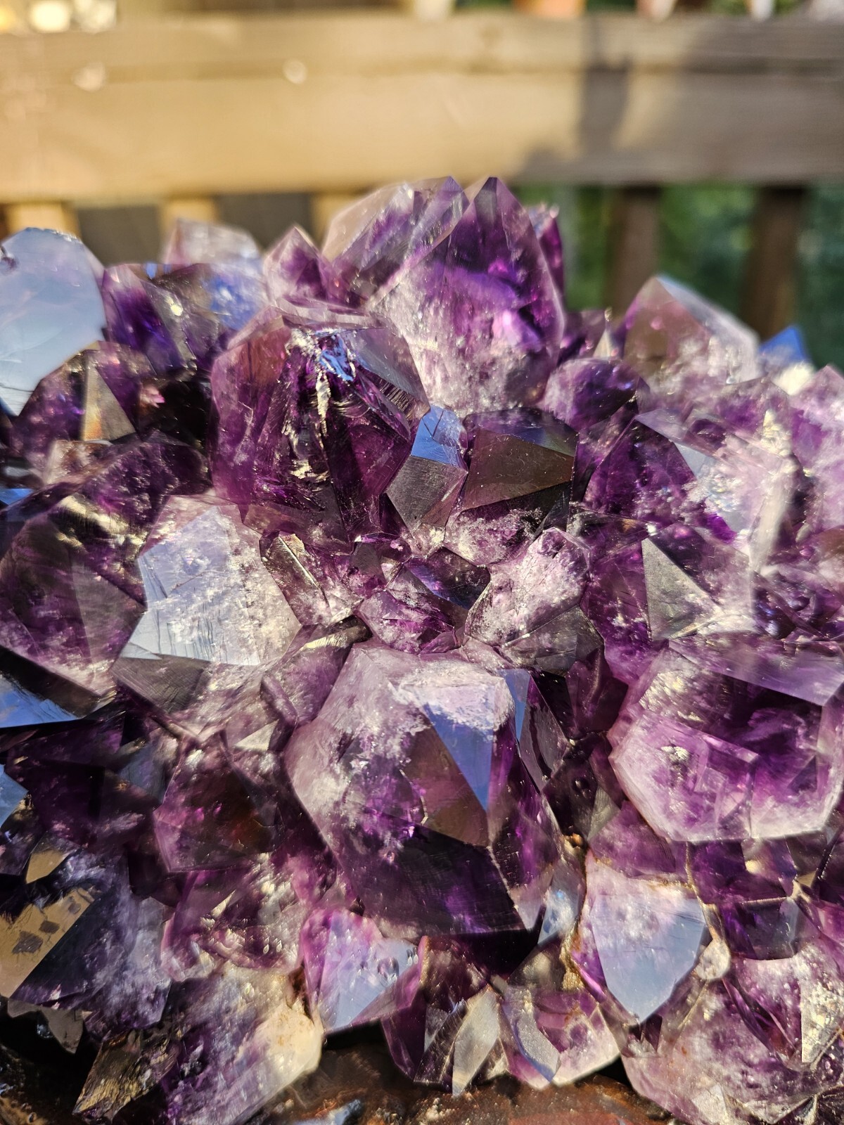 Rare Feng Shui Dragon Turtle with Large Amethyst Cluster
