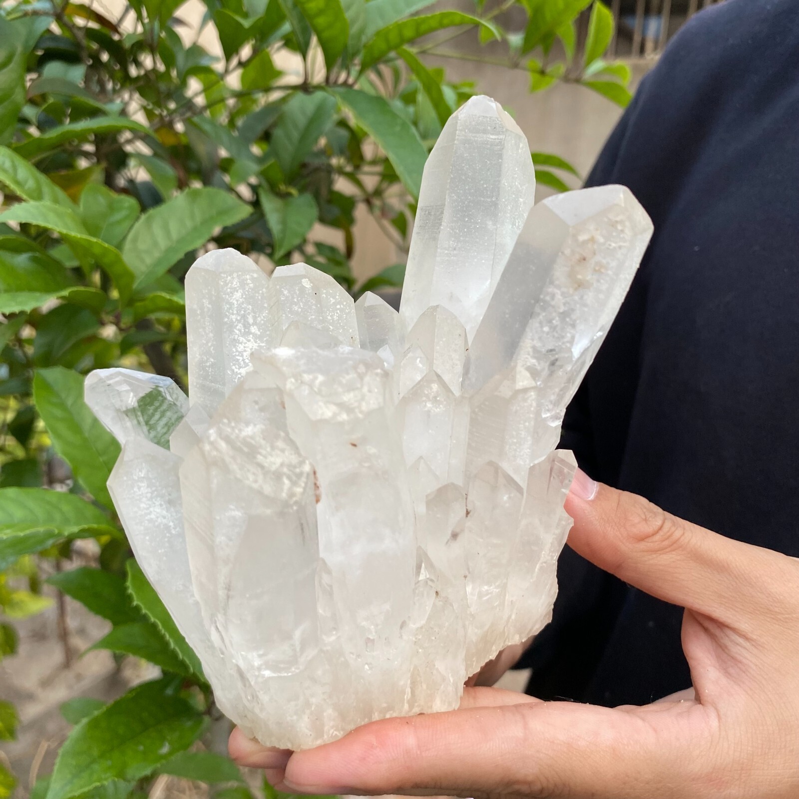 2.4lb Natural Clear White quart Crystal Cluster Raw Healing Specimen