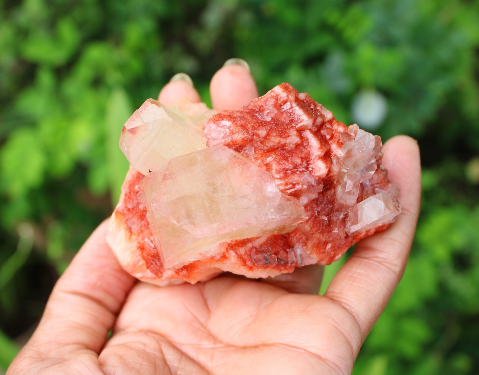 APOPHYLLITE CRYSTALS ON RED STILBITE MINERAL SPECIMEN