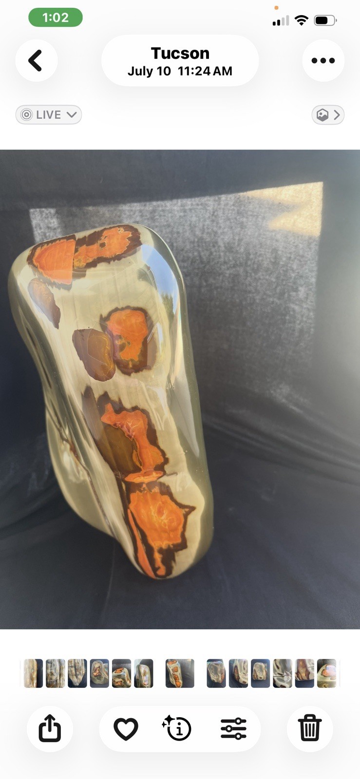 Stunning Madagascar POLYCHROME JASPER 9”x 8” and 15.8 Pounds