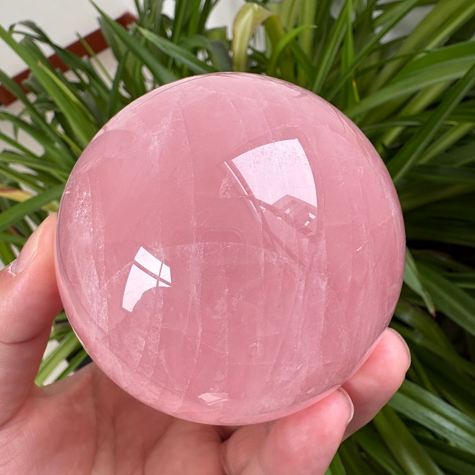 Natural Rose Quartz Sphere 1.5 lb 3.1″ Crystal Ball Healing Rock Collection