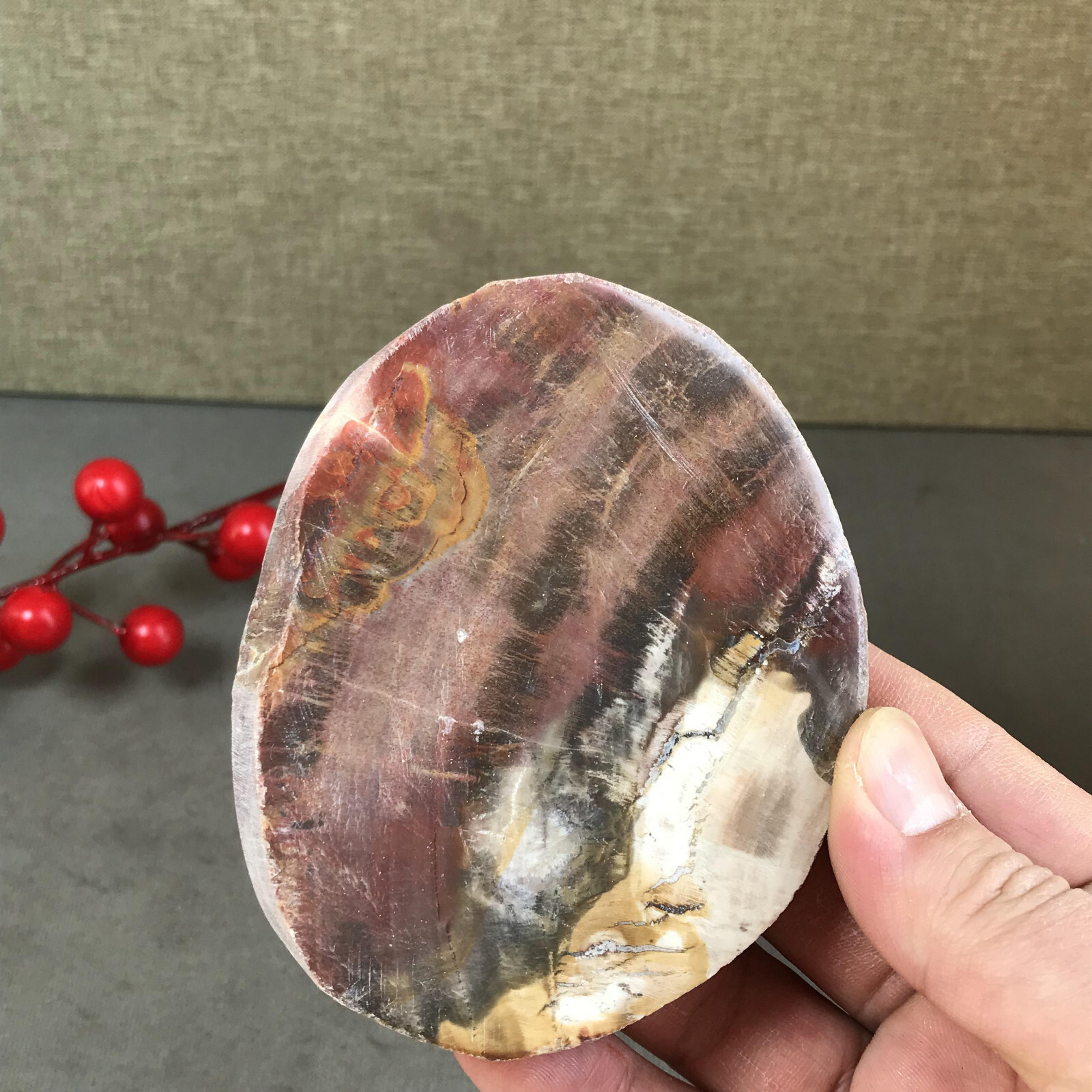 97mm natural Beautiful Petrified Wood Crystal Slice mineral specimen 247g A5426