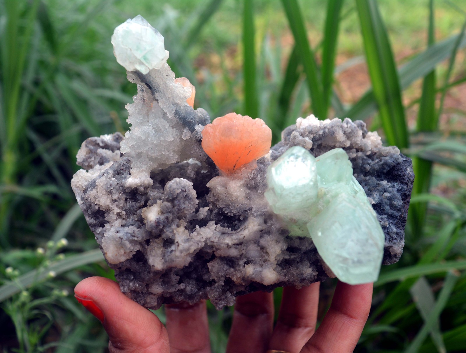 apophyllite w/ stilbite & chalcedony (Modified Item) minerals specimen m-5