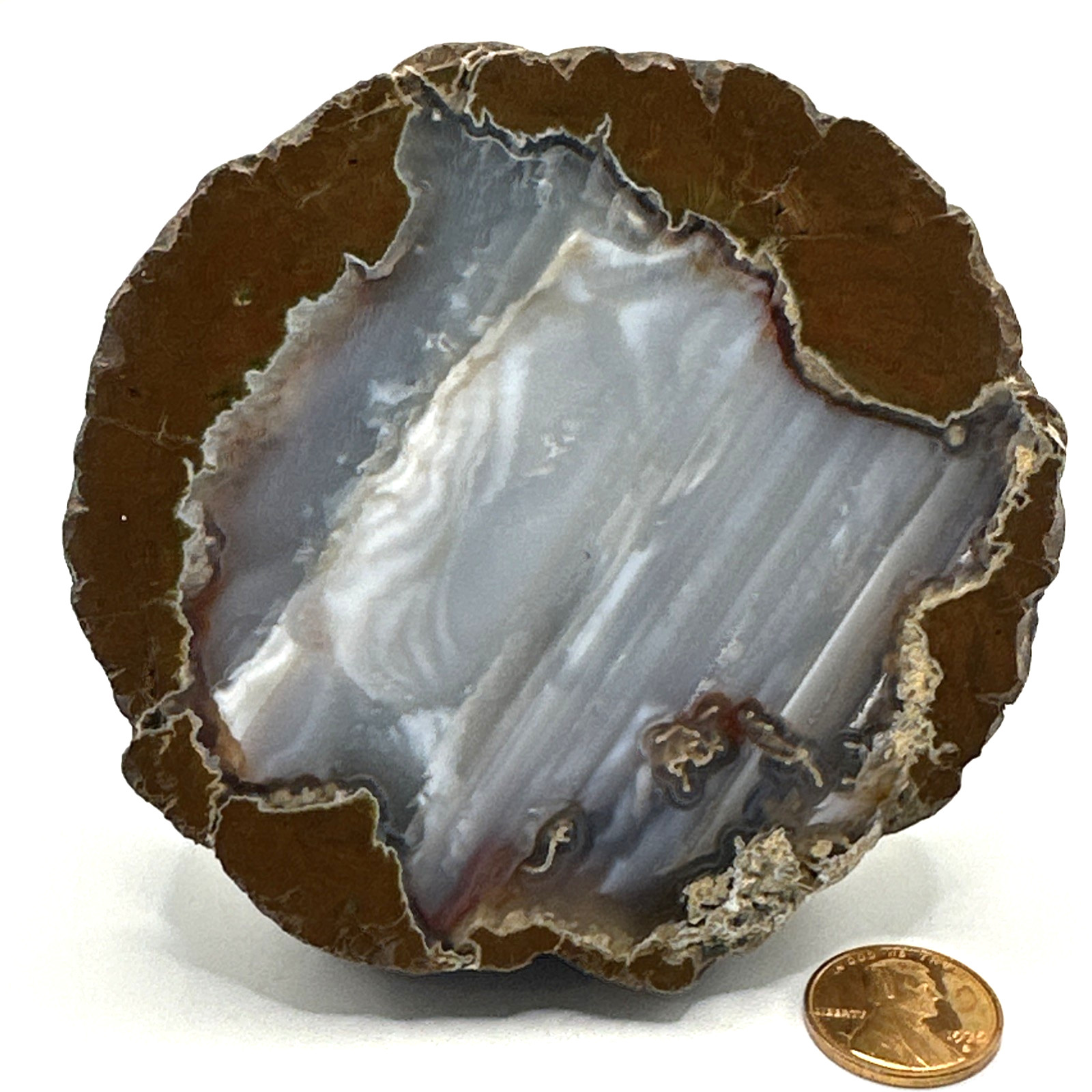 AMAZING Polished Solid Thunder Egg Geode Half 452 Grams