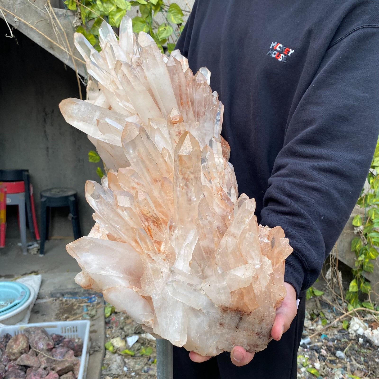 81.6lb Natural Clear White quart Crystal Cluster Raw Healing Specimen