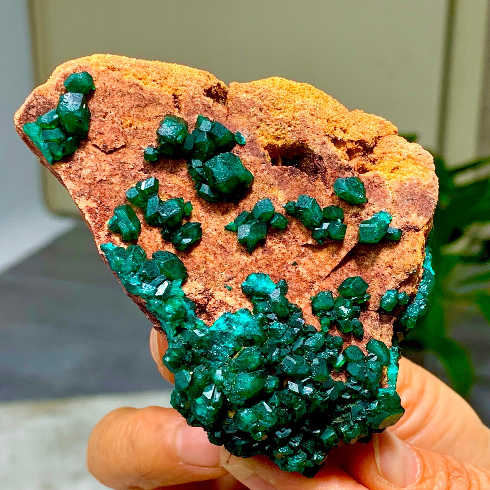 205G Natural Deep Green Grainy dioptase gemstone cluster mineral specimen
