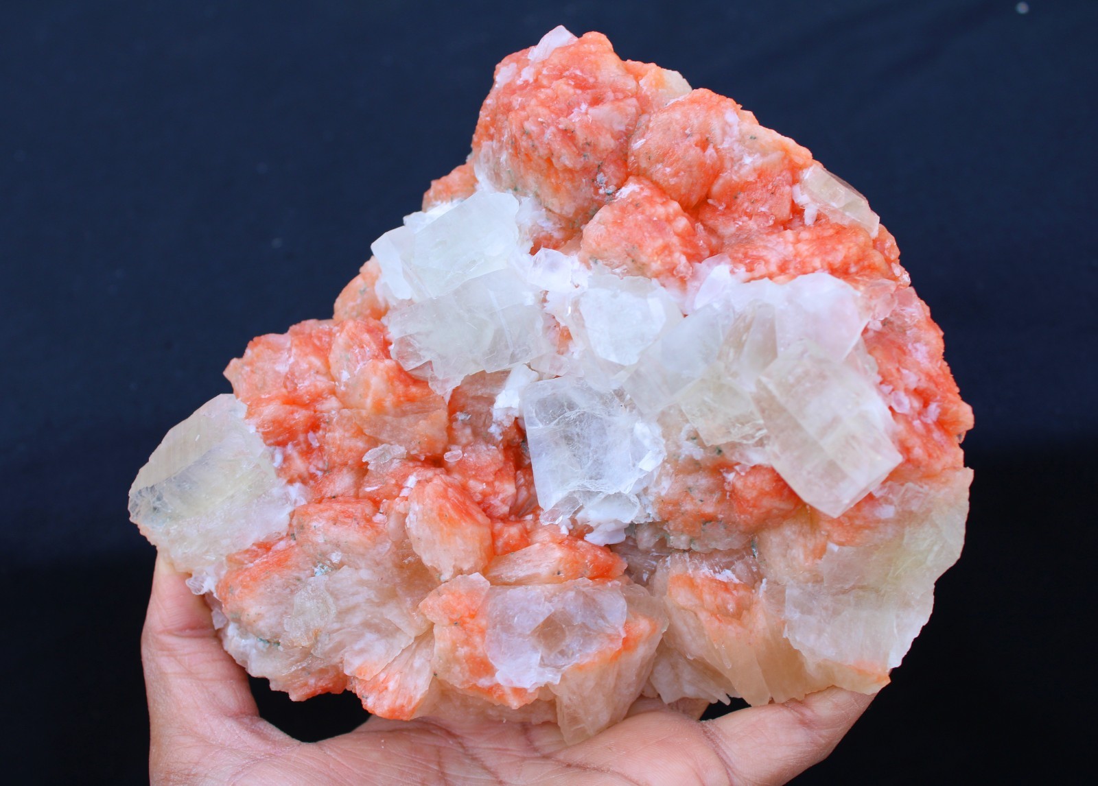 APOPHYLLITE CRYSTALS ON STILBITE MINERALS SPECIMEN#A22