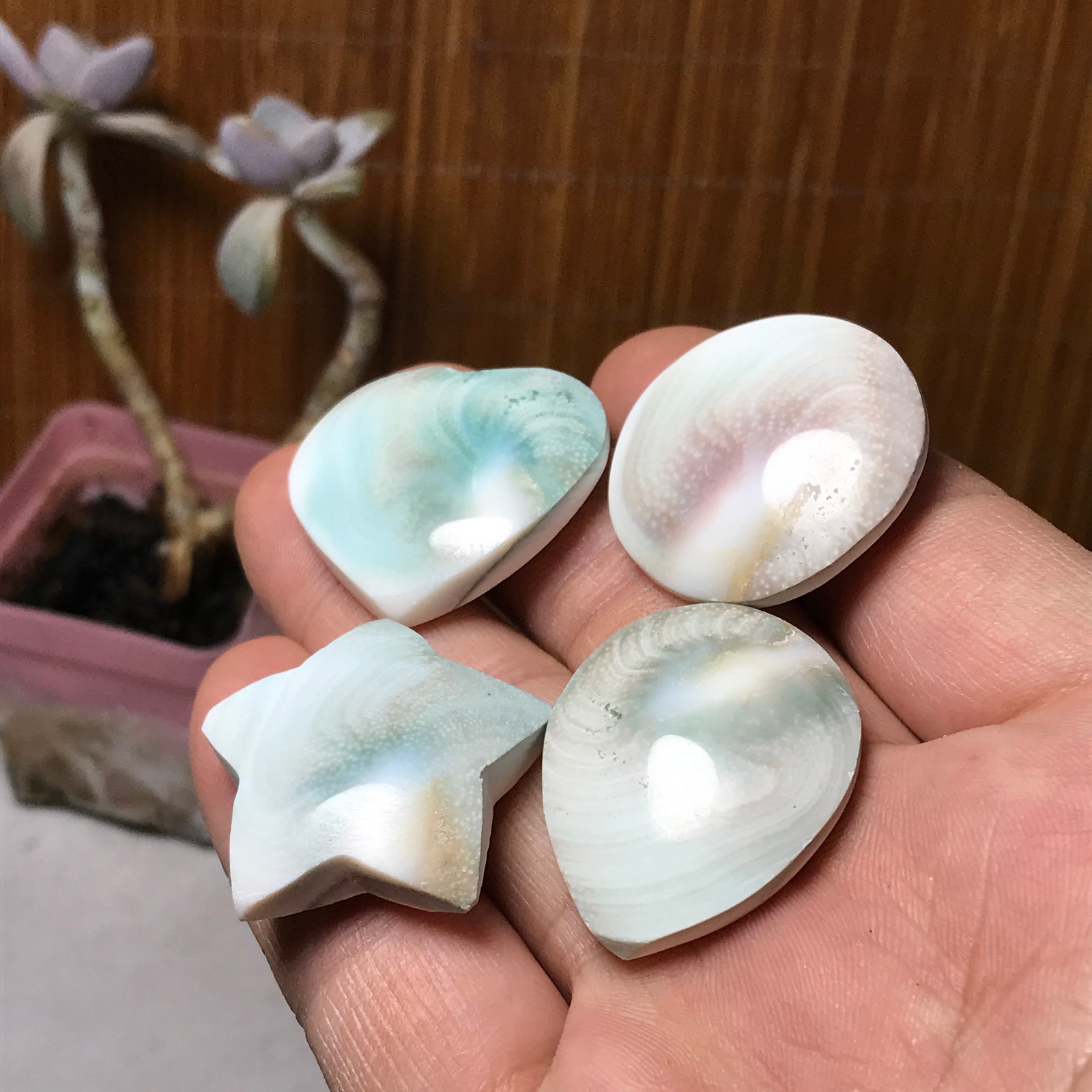 4Pcs Natural sun shell star Heart Reiki Shiva Eye ocean quartz carve A3340
