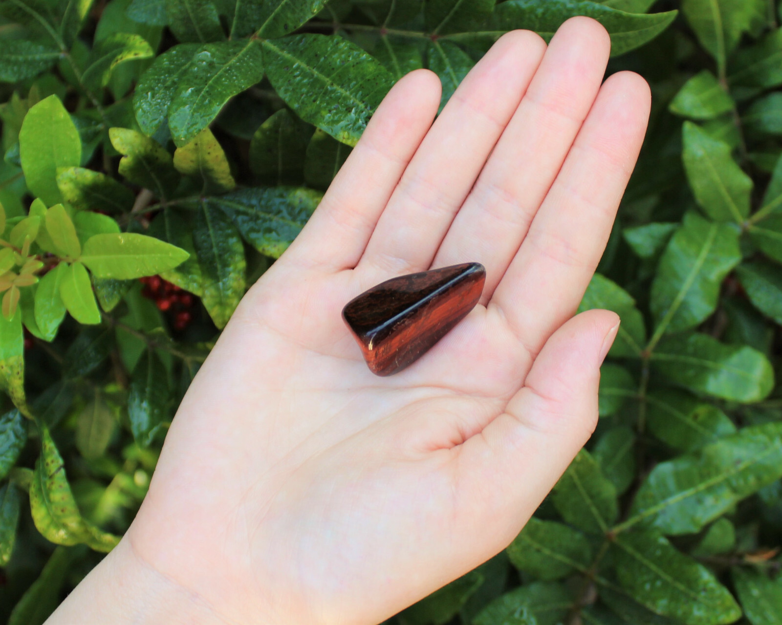 1/4 lb Bulk Lot Red Tiger Eye Tumbled Stones (Tumble Crystal Healing Reiki) 4 oz