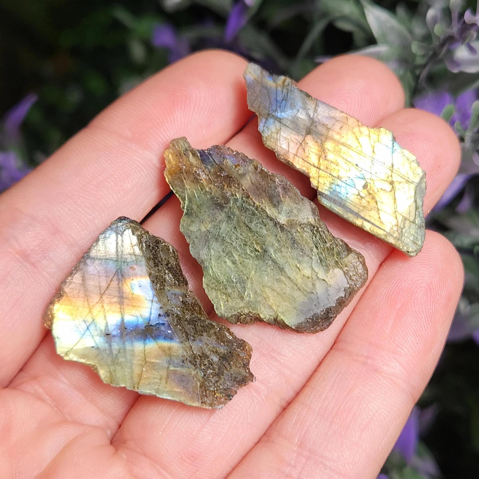 Labradorite Crystal Slice