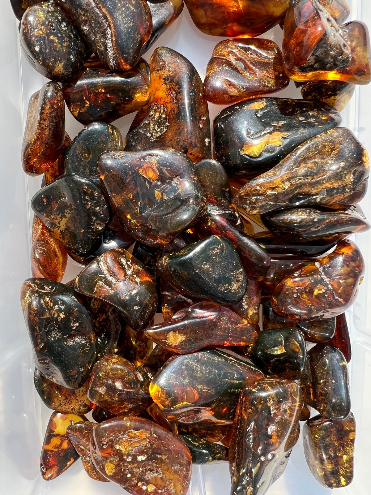 Baltic Amber Tumbled Stone, Dark Natural Baltic Amber from Indonesia