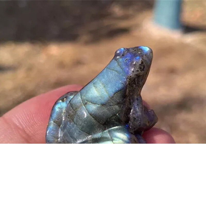 1pc Natural Labradorite Quartz Carved Frog Skull Crystal Reiki Decor