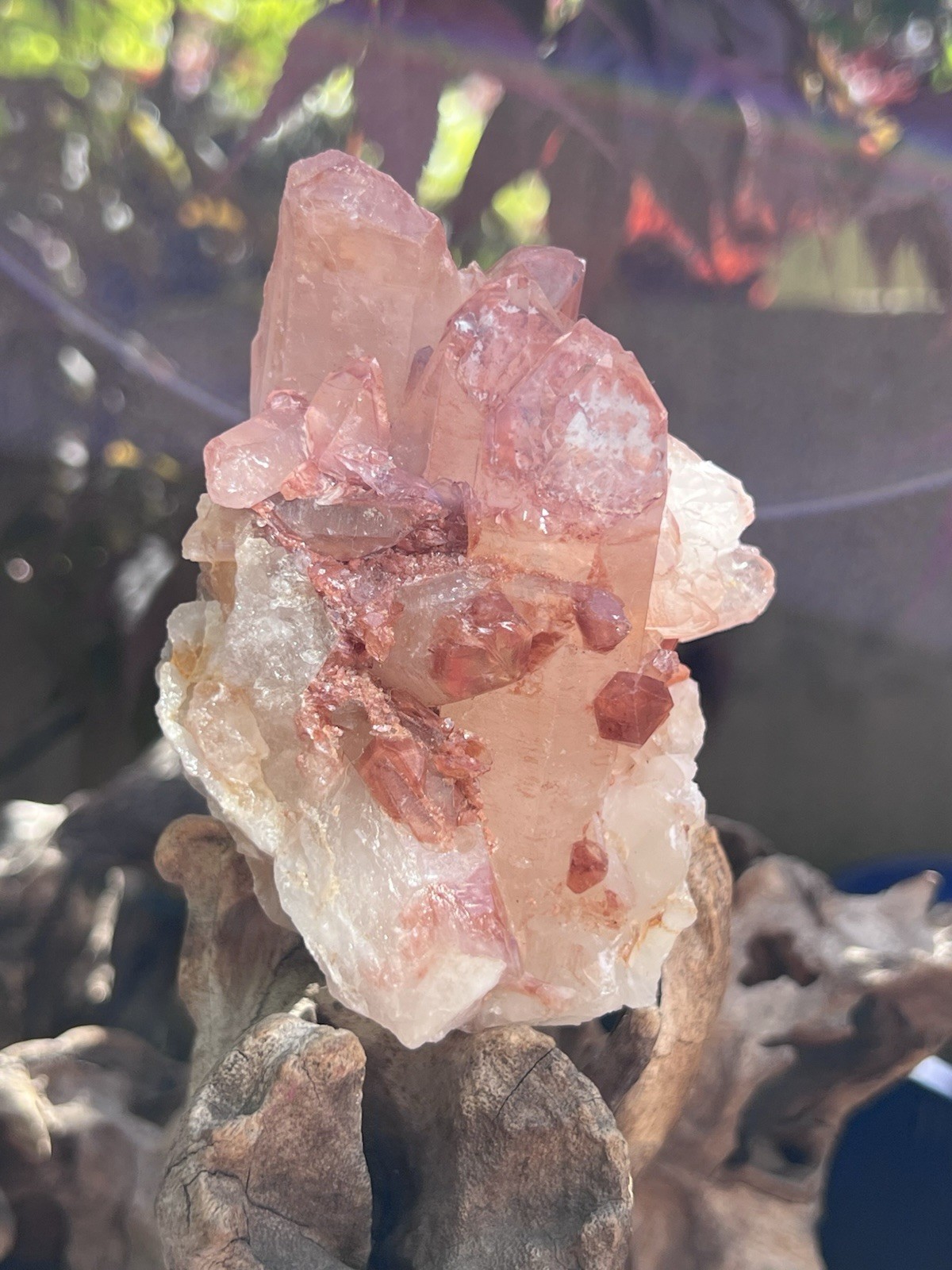 Lithium Quartz Large Cluster AAA+ : Master Healer Clarity 449g 7