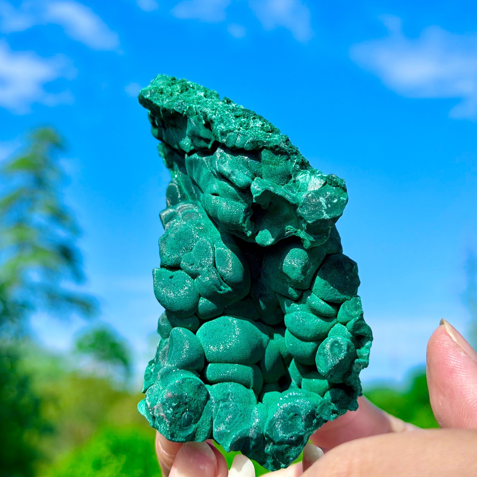 253G Natural VELVET Malachite cat’s eye specimen crystal rough mineral-Congo
