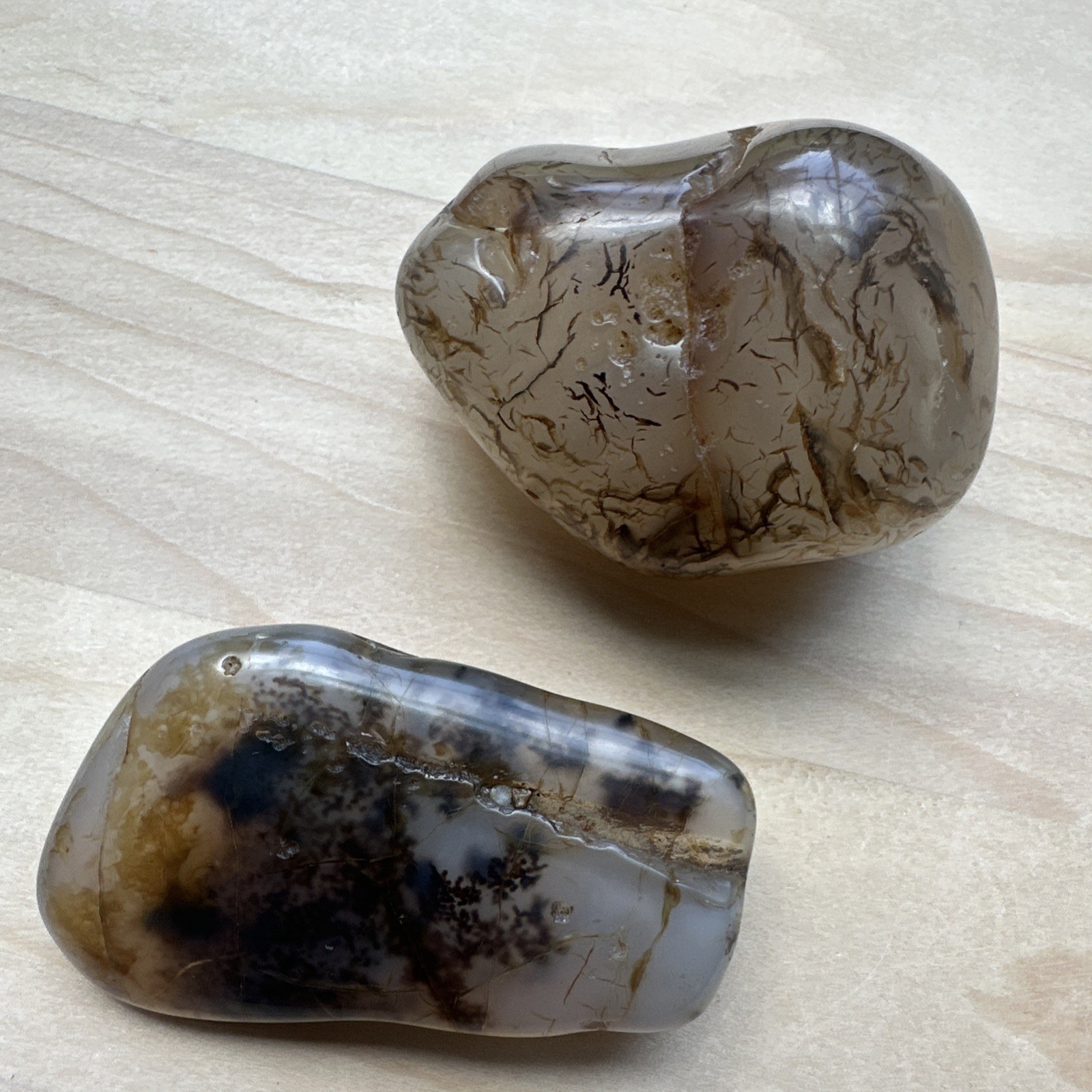 Montana Moss Agate 2 River Polished Stones Mineral Inclusions Translucent 174.3g